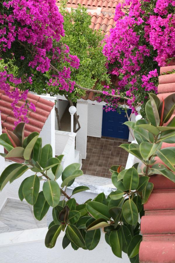 Hotel Elena Syvota Екстериор снимка